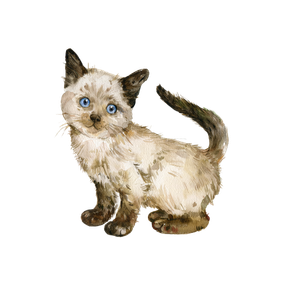 Margot, a small watercolor cat illustration