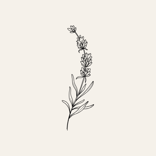 Wildflower sketch