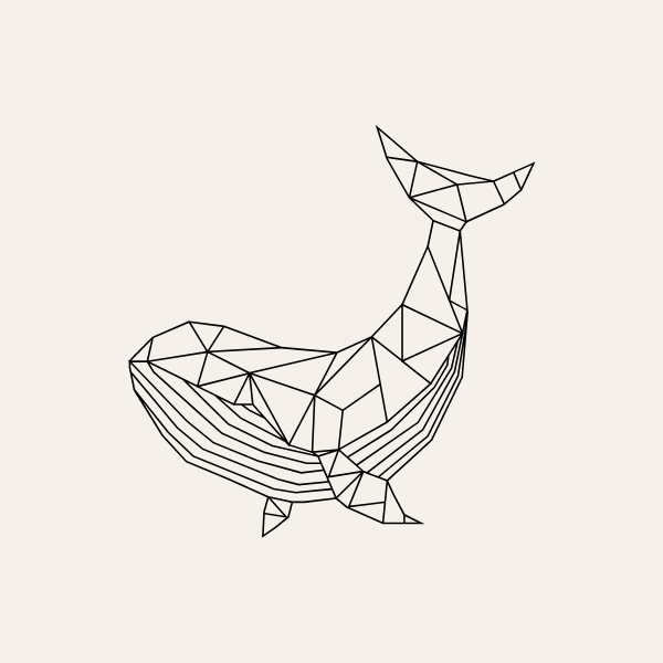 Whale sketch